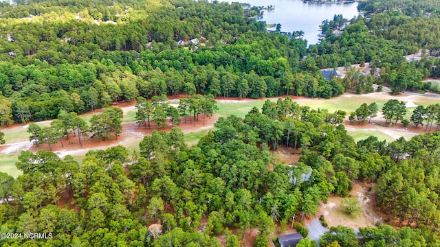 aerial view with a view of trees and a water view