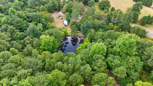aerial view featuring a water view and a view of trees