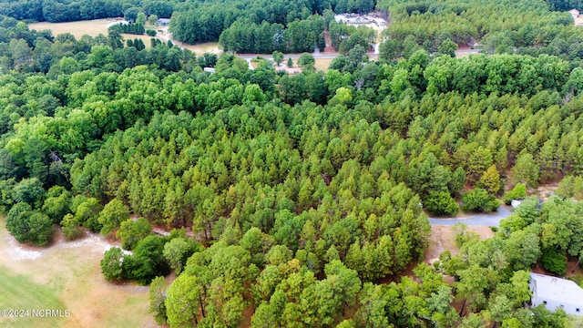 aerial view with a forest view