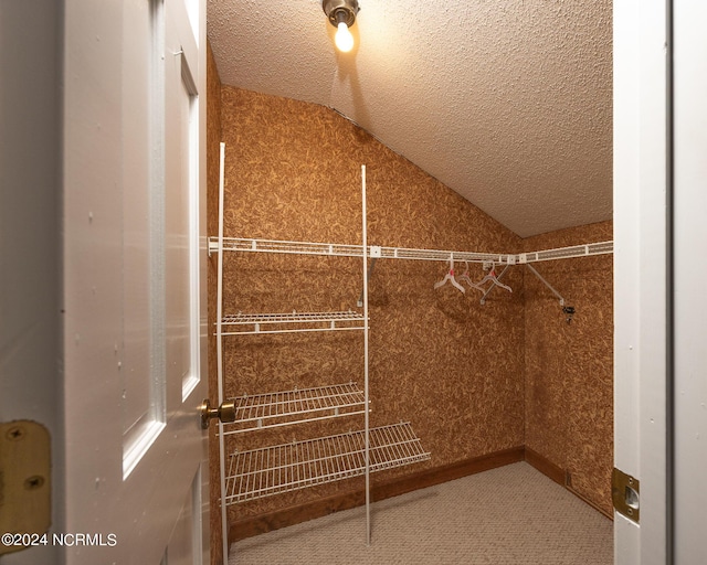 walk in closet with carpet flooring and lofted ceiling