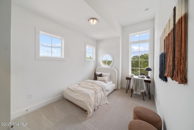 2601 Alvernia Dr, Castle Hayne, NC 28429 - carpeted bedroom with baseboards