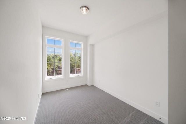 2601 Alvernia Dr, Castle Hayne, NC 28429 - empty room with dark colored carpet and baseboards