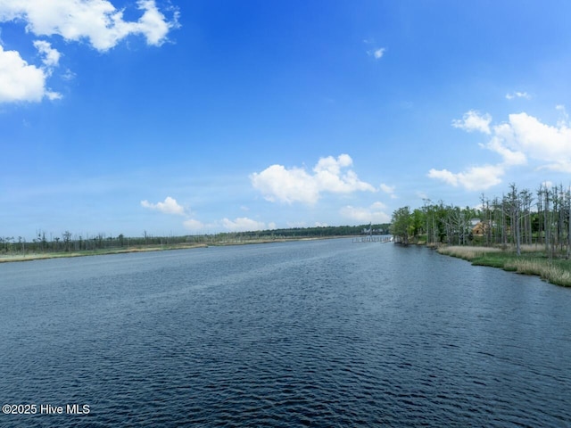 2601 Alvernia Dr, Castle Hayne, NC 28429 - water view