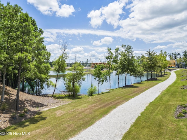 2601 Alvernia Dr, Castle Hayne, NC 28429 - water view