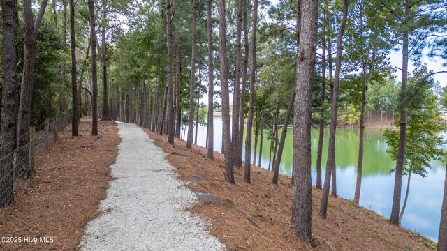 2601 Alvernia Dr, Castle Hayne, NC 28429 - water view