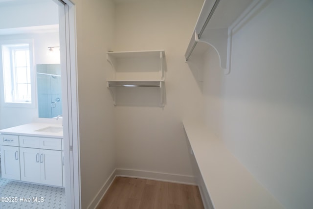 2601 Alvernia Dr, Castle Hayne, NC 28429 - walk in closet with a sink and light wood finished floors