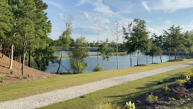 2597 Alvernia Dr, Castle Hayne, NC 28429 - water view