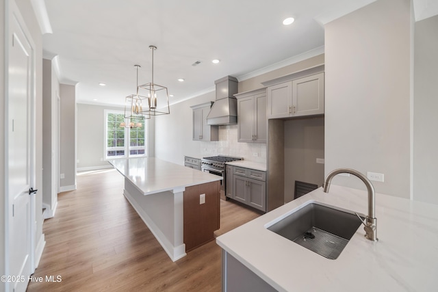 2597 Alvernia Dr, Castle Hayne, NC 28429 - kitchen with high end stove, custom exhaust hood, gray cabinetry, a center island, and light wood-style floors