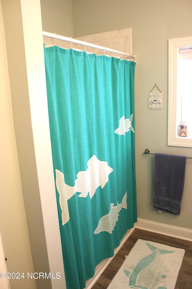 bathroom featuring hardwood / wood-style floors