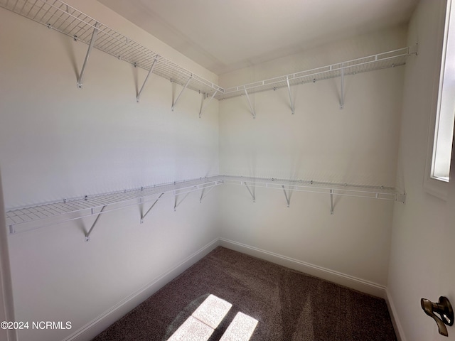 spacious closet with carpet floors