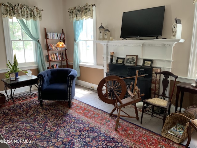 sitting room featuring plenty of natural light