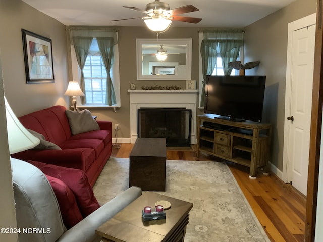 living room with ceiling fan and hardwood / wood-style floors