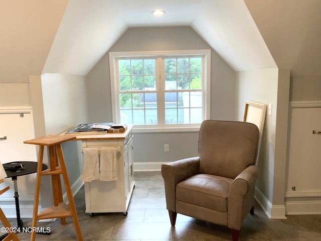 living area with lofted ceiling