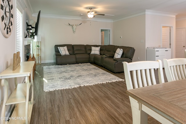 living room featuring a fireplace, dark wood-type flooring, ornamental molding, and ceiling fan