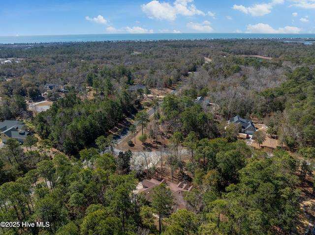 birds eye view of property with a forest view and a water view