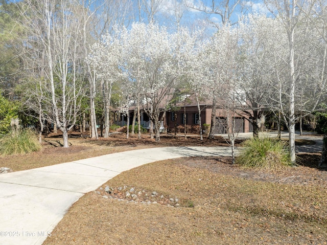 view of front of property with concrete driveway