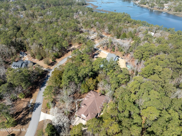 birds eye view of property with a water view and a wooded view