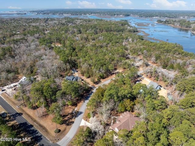 bird's eye view with a view of trees and a water view