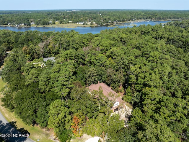 bird's eye view with a water view and a wooded view