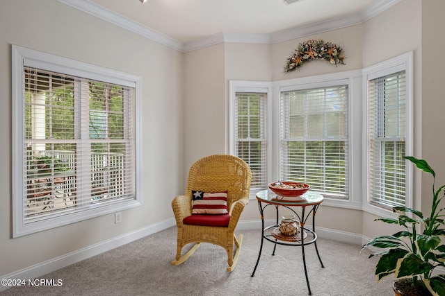 sitting room featuring carpet and ornamental molding