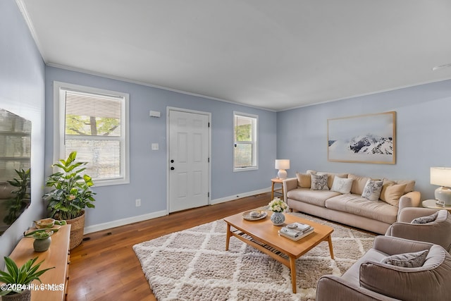 living room with crown molding and dark wood-type flooring