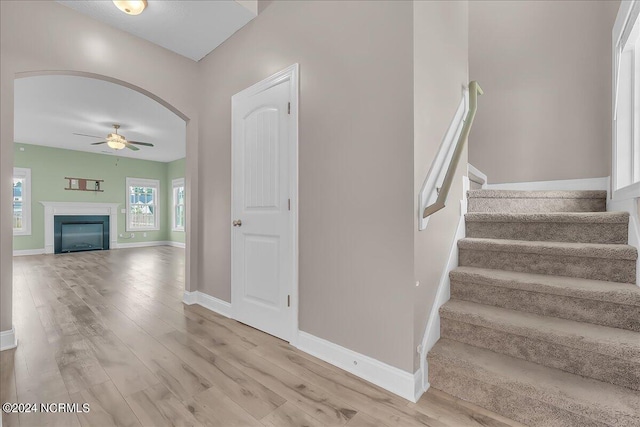 staircase with light wood-type flooring and ceiling fan