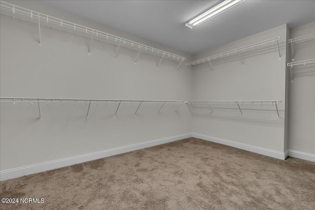 spacious closet with carpet floors