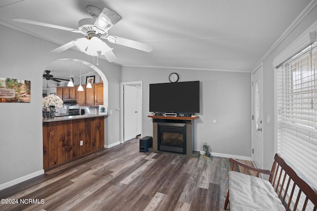 living area with arched walkways, vaulted ceiling, dark wood-type flooring, and a glass covered fireplace