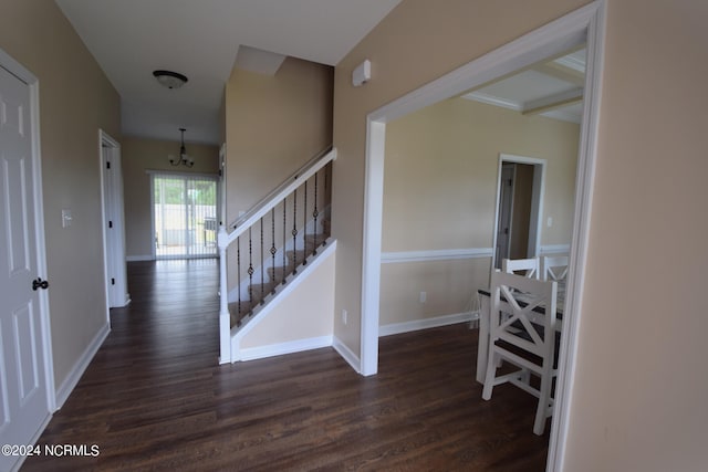 corridor with dark hardwood / wood-style flooring