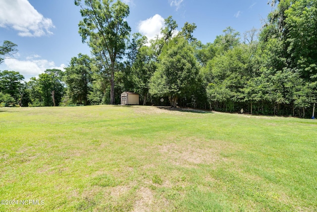 view of yard featuring a shed