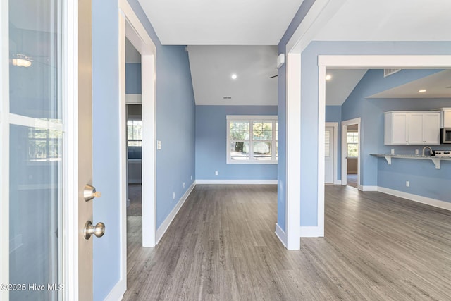 entryway featuring lofted ceiling and hardwood / wood-style flooring