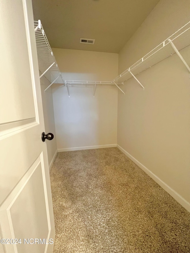 walk in closet featuring carpet flooring