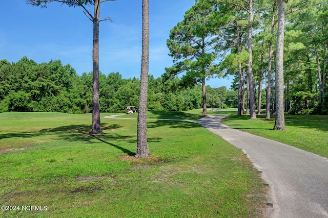 view of property's community with a lawn