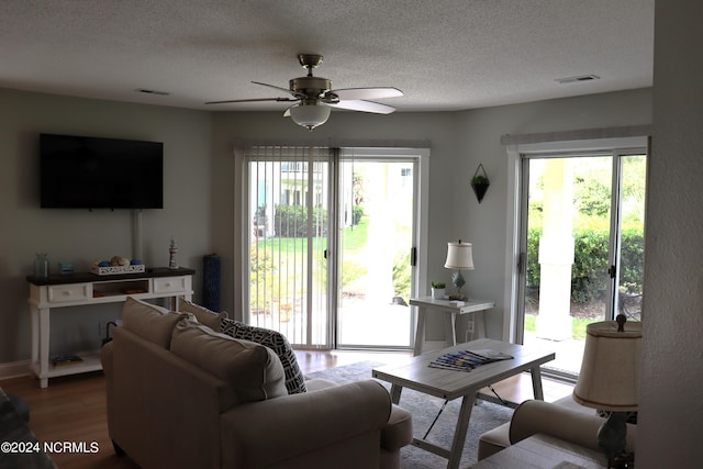 living room with hardwood / wood-style flooring and a healthy amount of sunlight