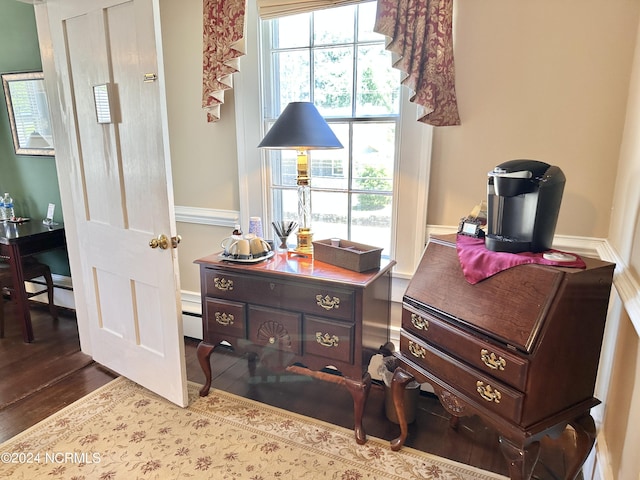 details featuring a baseboard radiator and wood finished floors