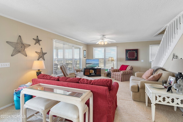 carpeted living room featuring ceiling fan, crown molding, and a textured ceiling