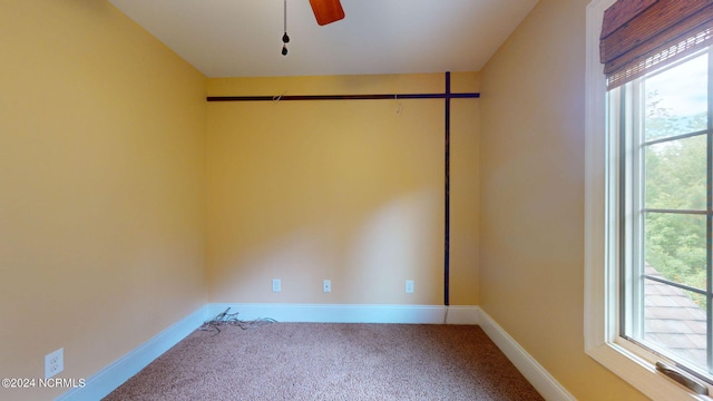 carpeted spare room with ceiling fan and a wealth of natural light