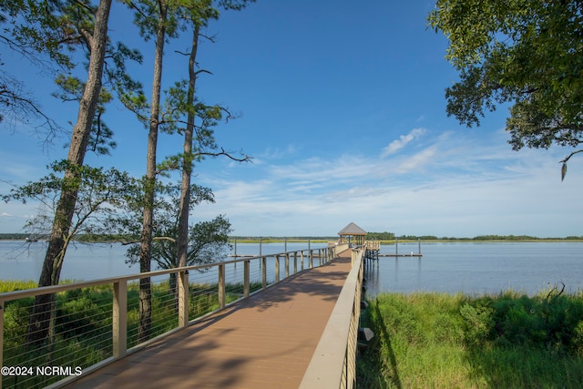 dock area with a water view