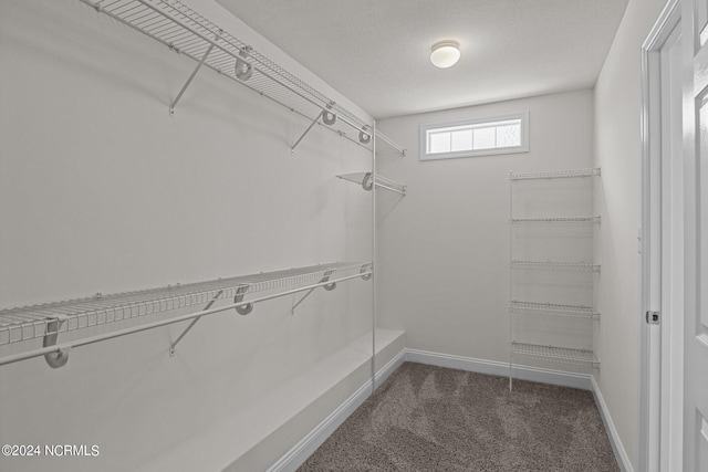 spacious closet with dark colored carpet