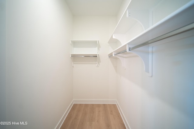 walk in closet with light wood-style flooring