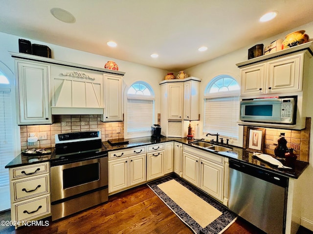 kitchen featuring sink, dark hardwood / wood-style flooring, stainless steel appliances, and a wealth of natural light