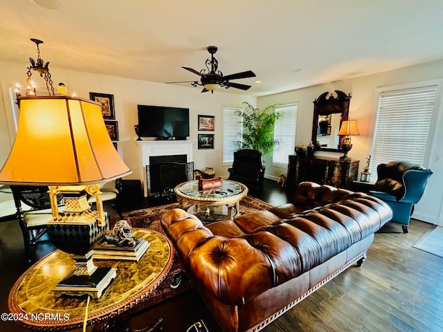 living room with wood-type flooring and ceiling fan with notable chandelier