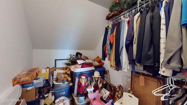 spacious closet with vaulted ceiling