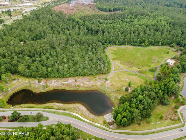 bird's eye view with a forest view