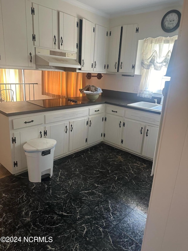 kitchen featuring black electric stovetop, sink, decorative backsplash, and white cabinets