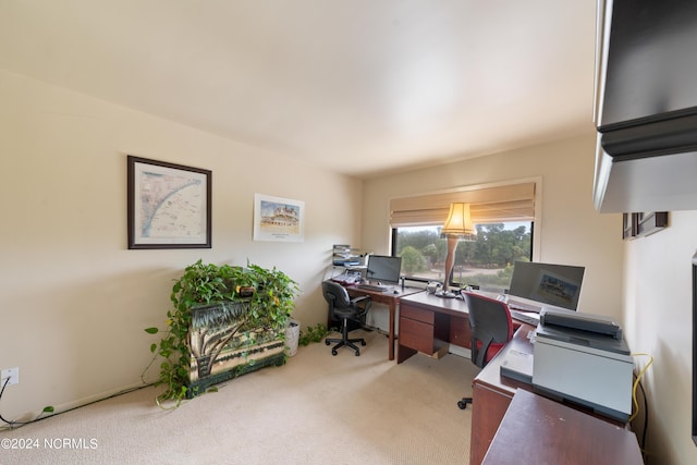 office featuring carpet floors