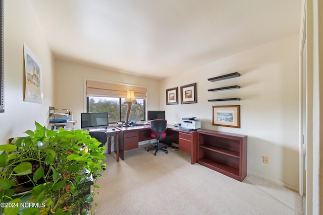 office space with light colored carpet