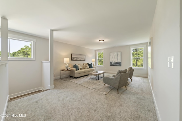 living room featuring light carpet