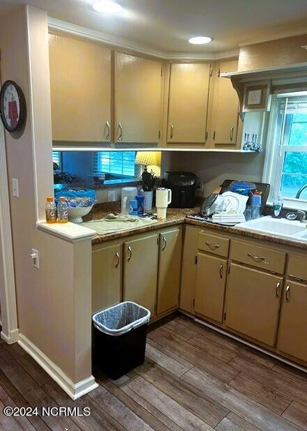 kitchen with cream cabinets, sink, and dark wood-type flooring