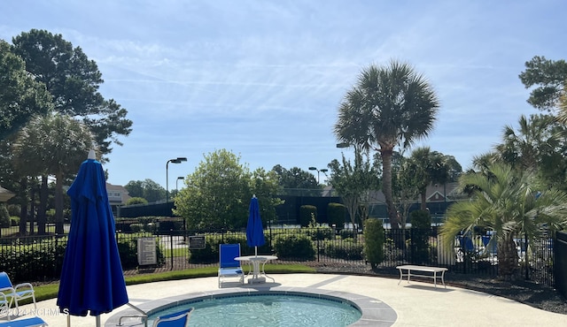 view of pool featuring a patio